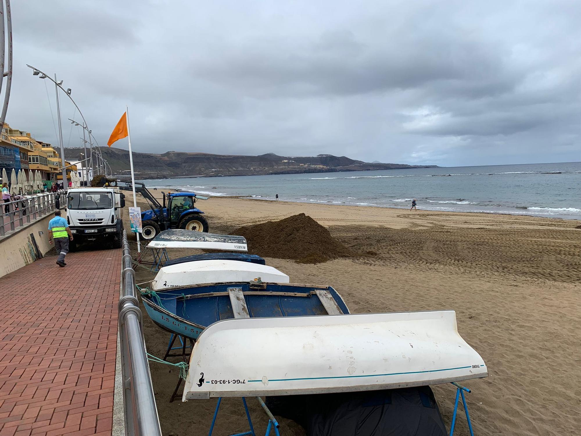 Retirada de seba en Las Canteras