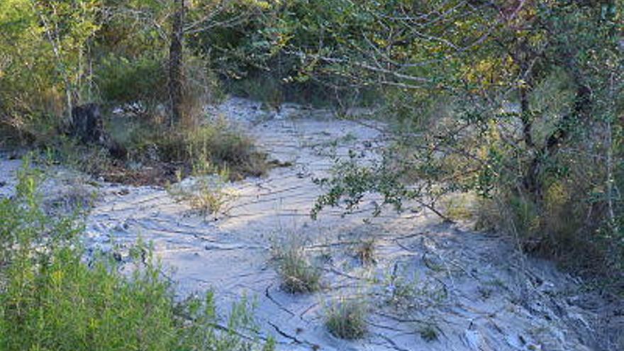 Un gran vertido ilegal de lodos y basura amenaza la desembocadura del Millars