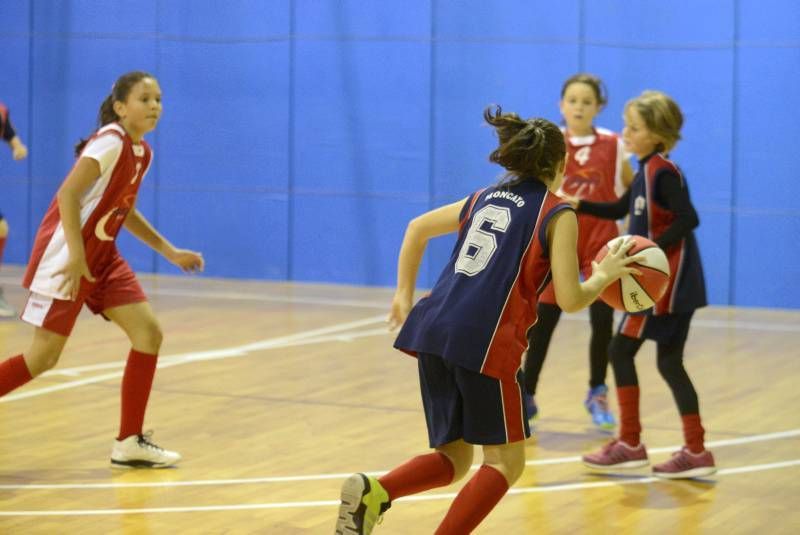 DÍA DEL MINIBASKET. Partidos de las 10:30 horas