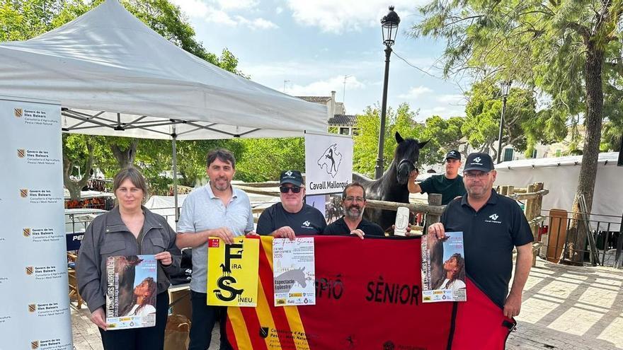 Sineu acoge una nueva edición del concurso para poner en valor el caballo mallorquín