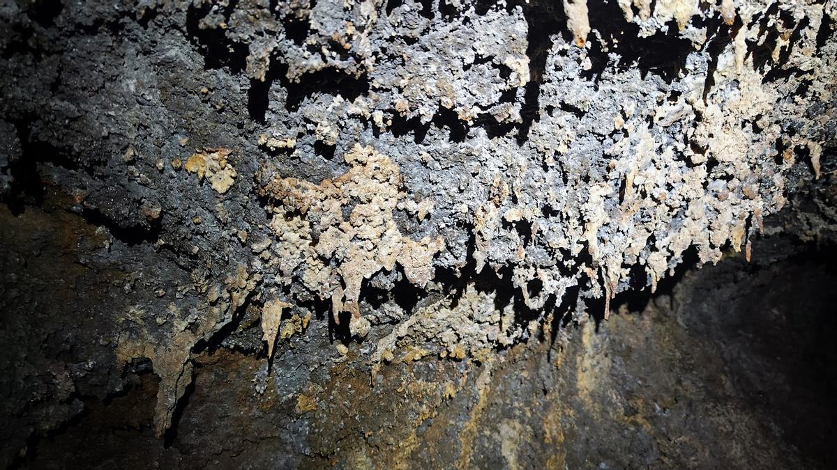 Interior de la Cueva del Viento.