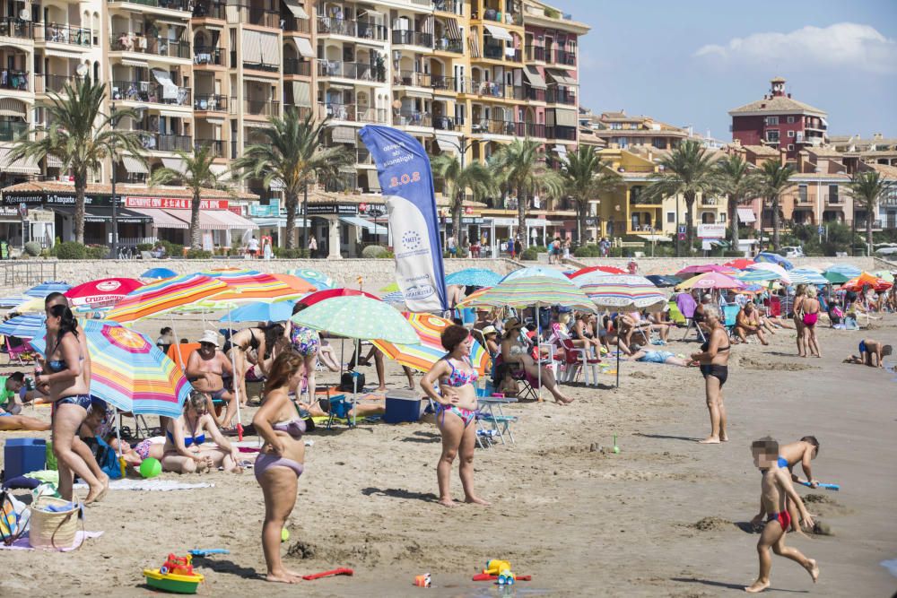 Veraneantes y visitantes en las playas de l'Horta.