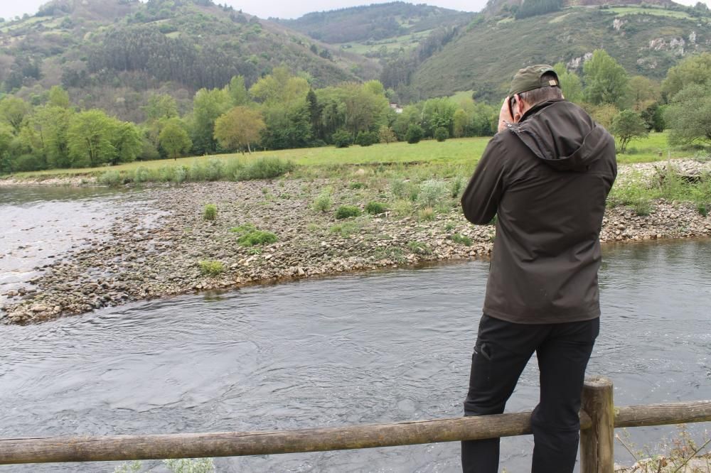 Asturias se prepara para capturar el Campanu