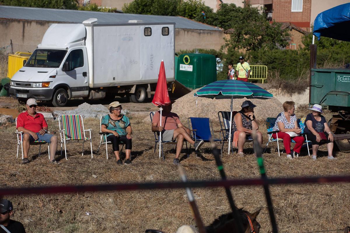 GALERÍA | Venialbo vibra con el encierro mixto de sus fiestas GALERÍA | Venialbo vibra con el encierro mixto de sus fiestas