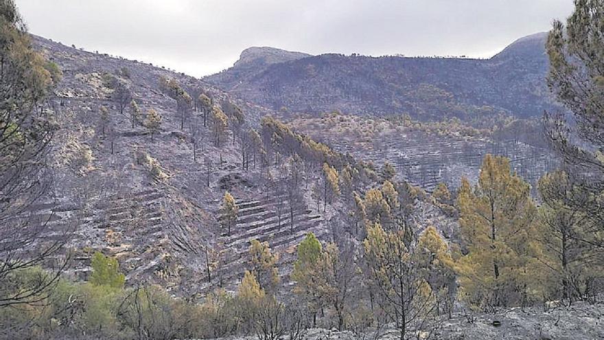 &quot;Esto era un paraíso antes del incendio, ahora está todo negro&quot;