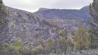 "Esto era un paraíso antes del incendio, ahora está todo negro"