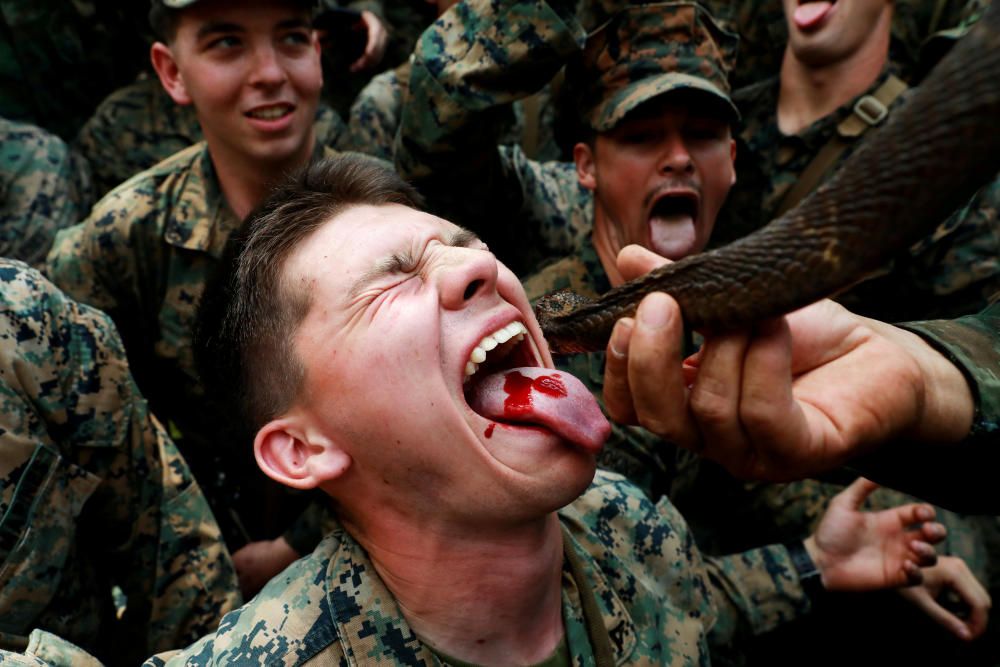 Una serpiente muerde a un soldado en la lengua durante un ejercicio militar en Tailandia.