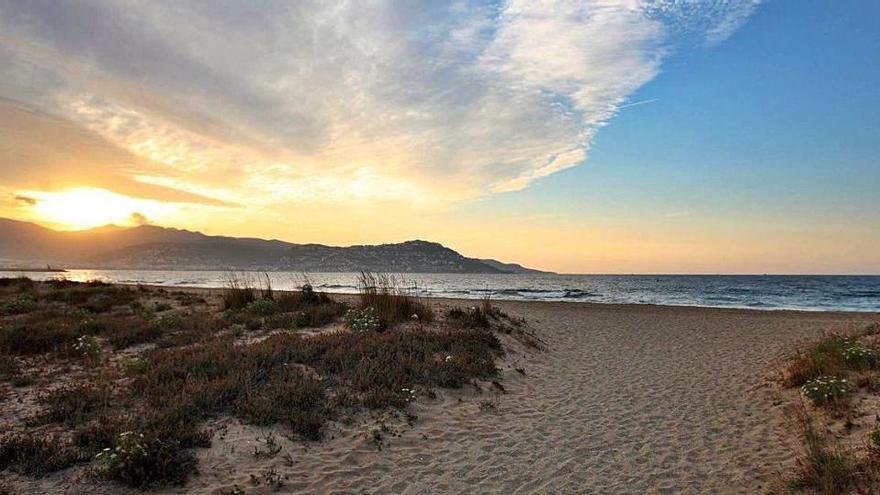 La platja de la Rubina de Castelló d&#039;Empúries, en una imatge d&#039;arxiu