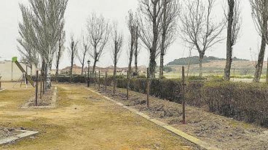 El ayuntamiento realiza nuevas plantaciones