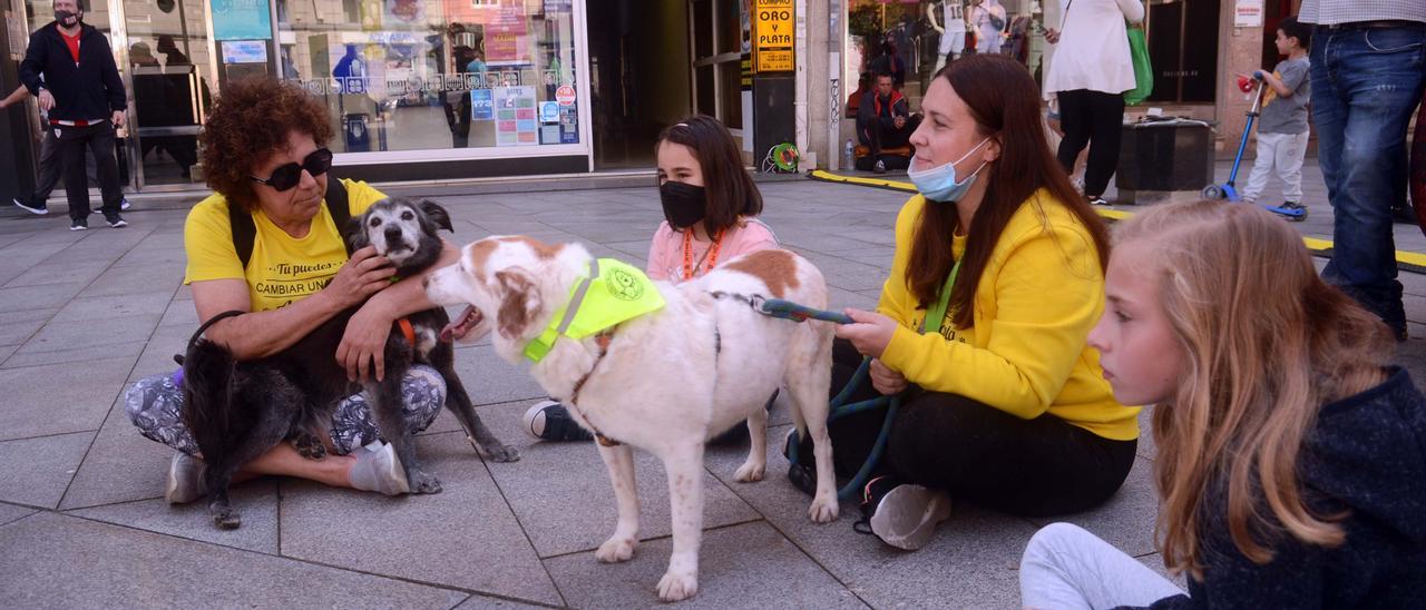 Un momento de la actividad divulgativa desplegada ayer, en la plaza de Galicia, Vilagarcía.