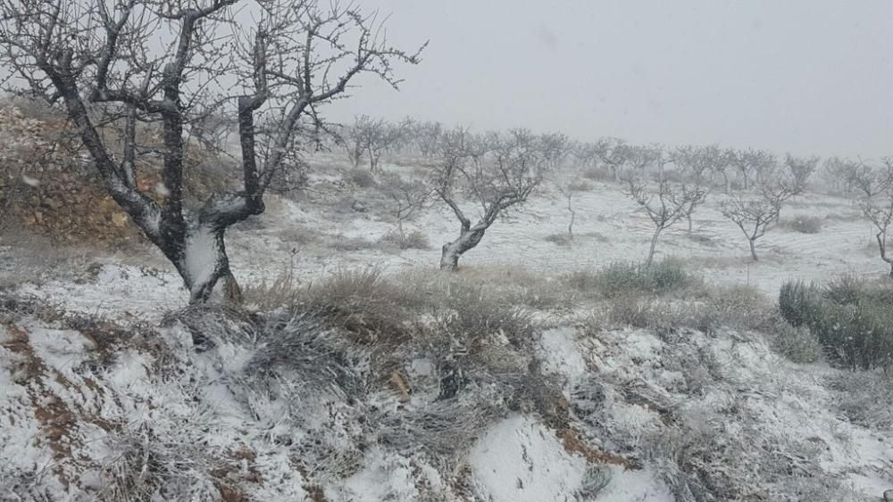 Primeras nieves en la Región