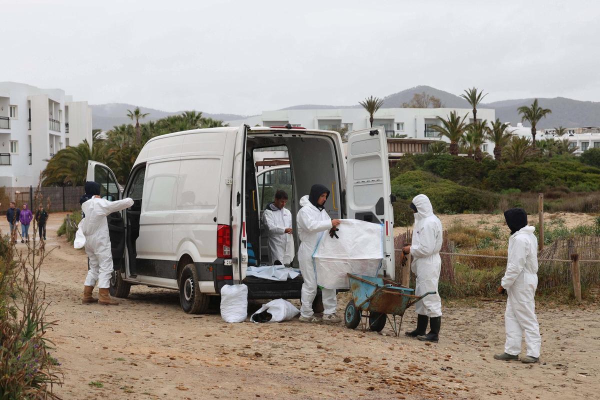 Trabajos de limpieza en la Xanga y Platja d’en Bossa de los restos del yate incendiado en Ibiza