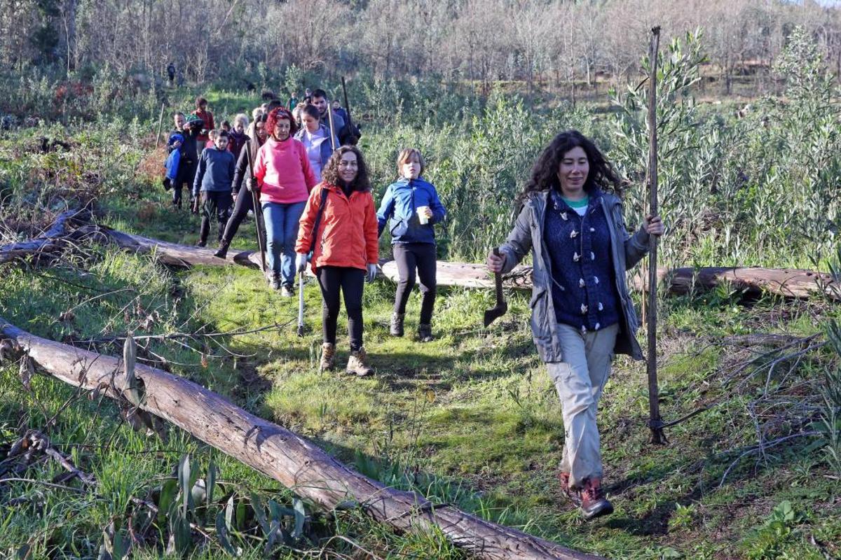 La Comunidad de Montes de Coruxo, que, en colaboración con las brigadas deseucaliptizadoras de Verdegaia, organizaron una jornada de voluntariado para liberar de eucaliptos el regato de O Pontón. La Comunidad de Montes de Coruxo, que, en colaboración con las brigadas deseucaliptizadoras de Verdegaia, organizaron una jornada de voluntariado para liberar de eucaliptos el regato de O Pontón.