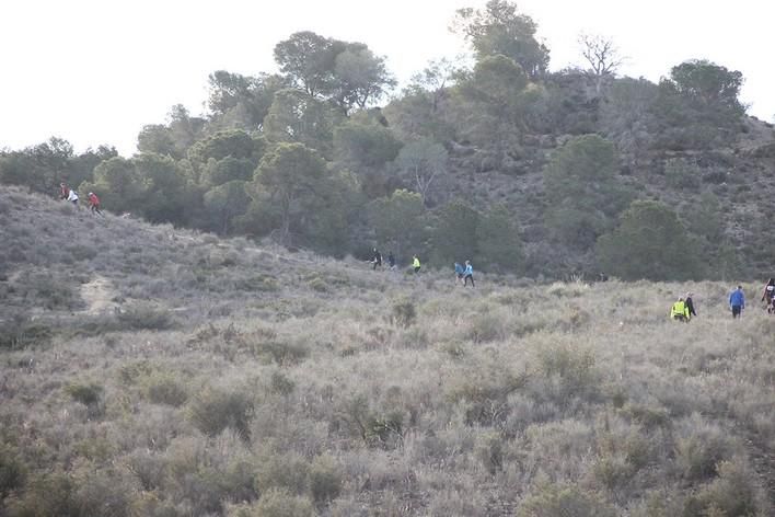 San Jorge Dragon en La Alcayna