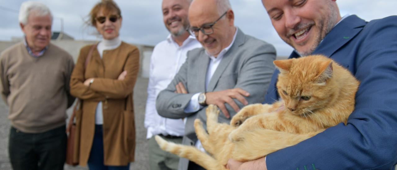 Primer albergue municipal para animales en Gáldar