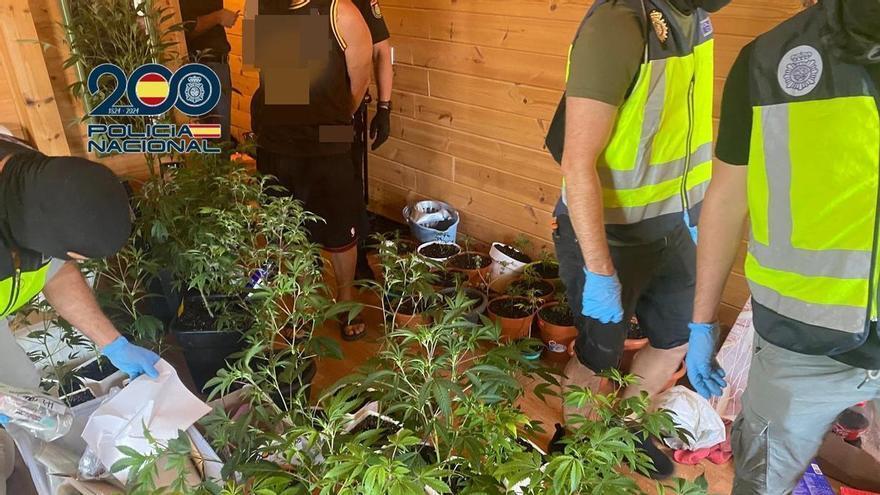 Desmantelado un punto de venta de drogas en el sur de Tenerife que operaba bajo un falso club social