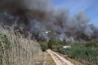 Desalojan preventivamente una decena de casas cerca del incendio de S'Albufera
