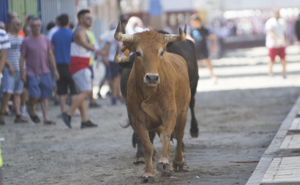 El Grau vive un multitudinario día de Sant Pere