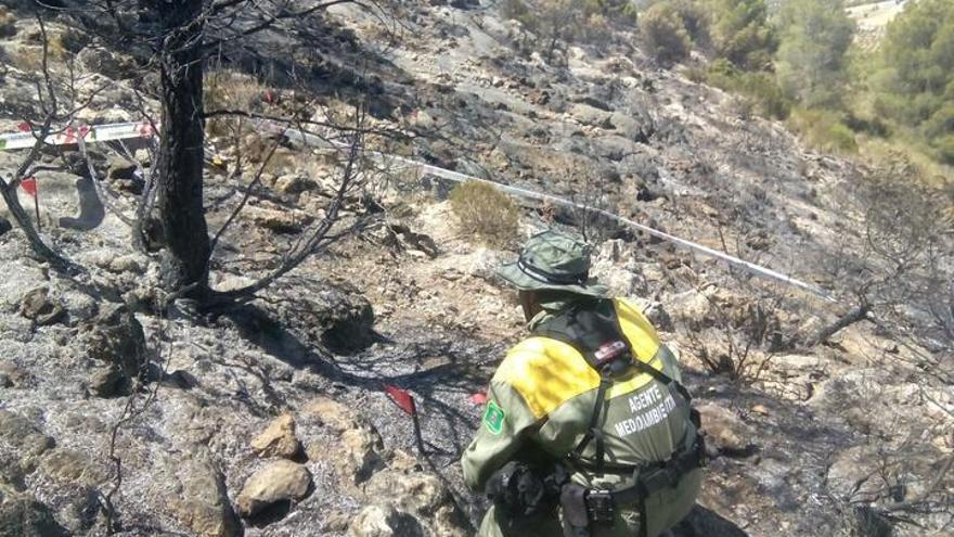 Expertos en investigación de incendios trabajando en la zona