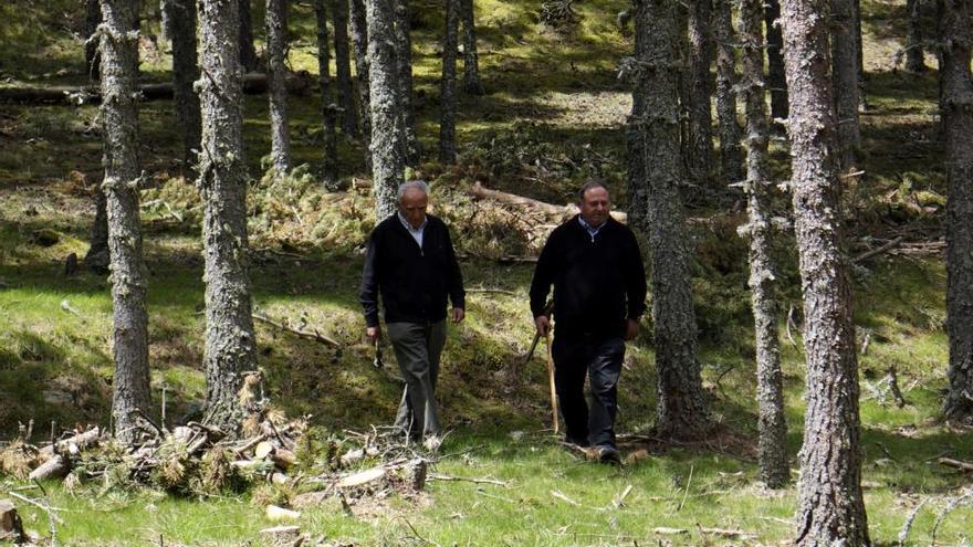 Fotograma d&#039;&#039;El bosc, el gran oblidat&#039;