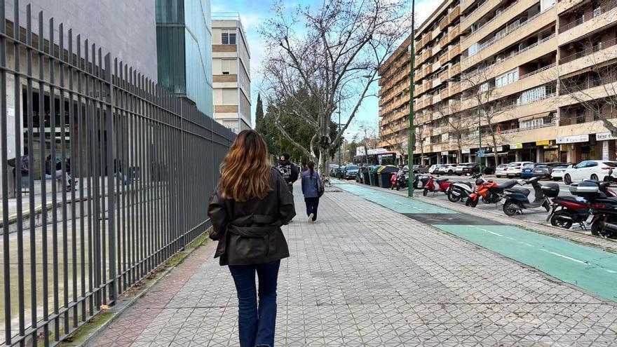La gran transformación de Reina Mercedes arrancará a finales de 2026: más espacio para peatones y bicis, menos coches y nuevos arboles tras año y medio de obras