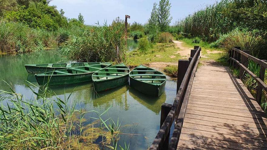 El Ayuntamiento de Pego ha organizado paseos en barca por el río Salinar.