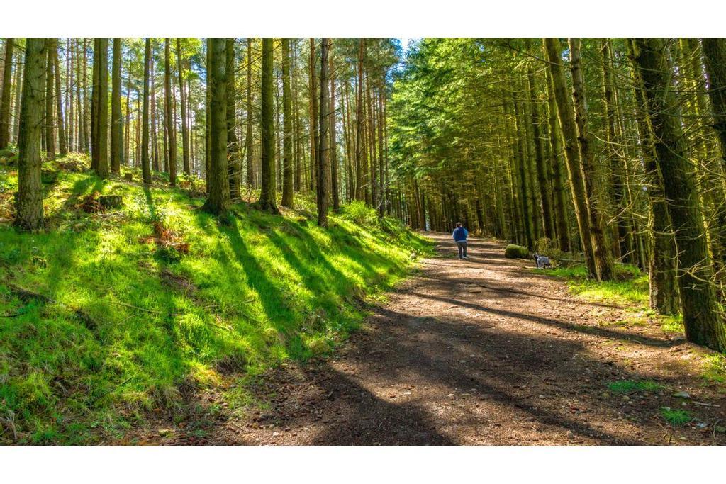 La capital del 'trail running' se encuentra en la provincia de Castellón