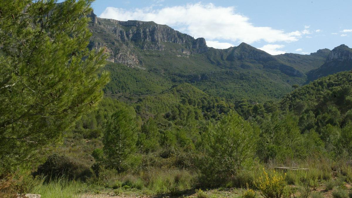 Valle de la Murta, en Alzira.