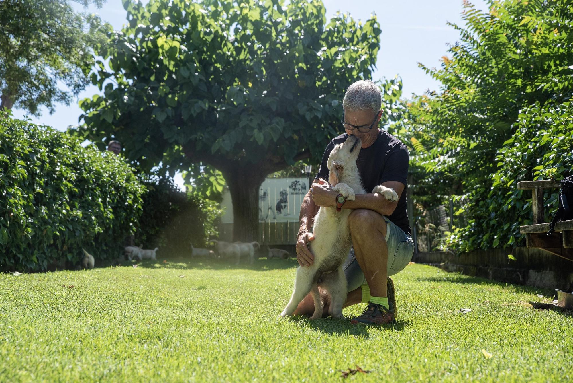 Residències canines: Goscan de Fonollosa