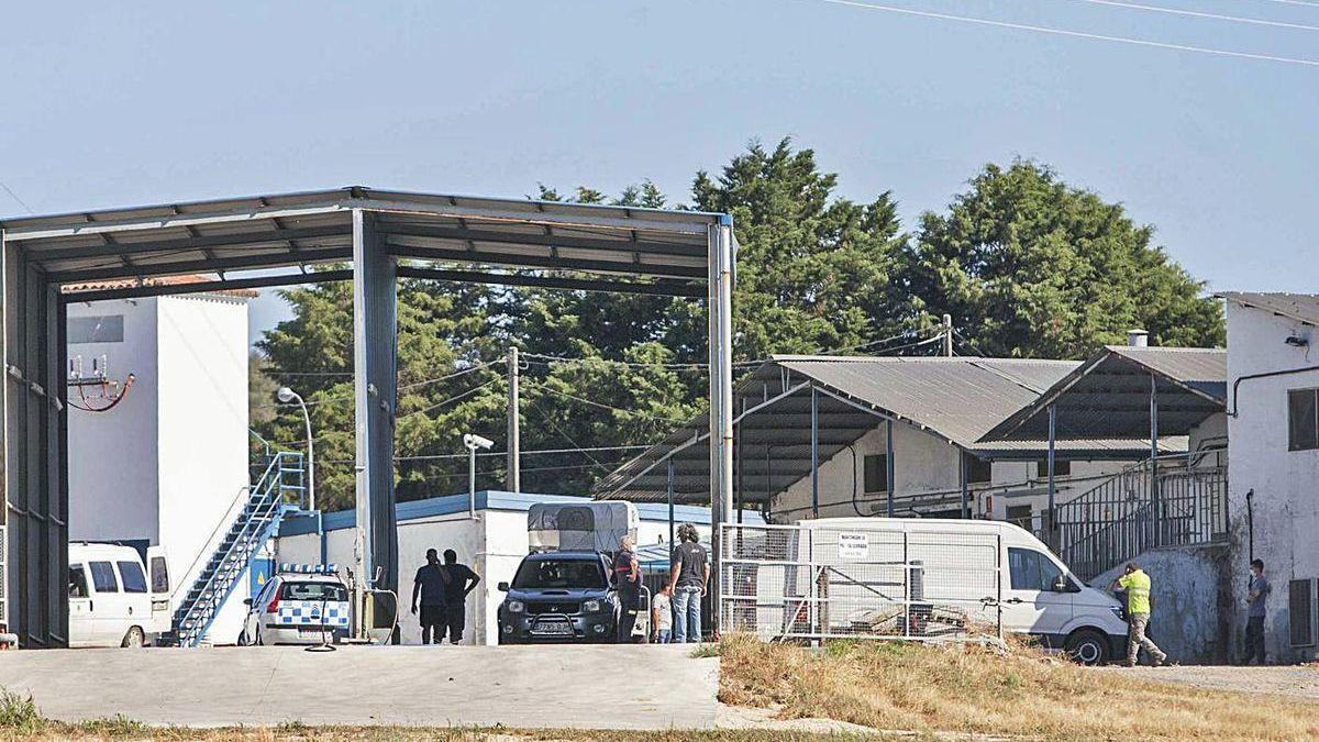 Operativo en las instalaciones del matadero Botos.