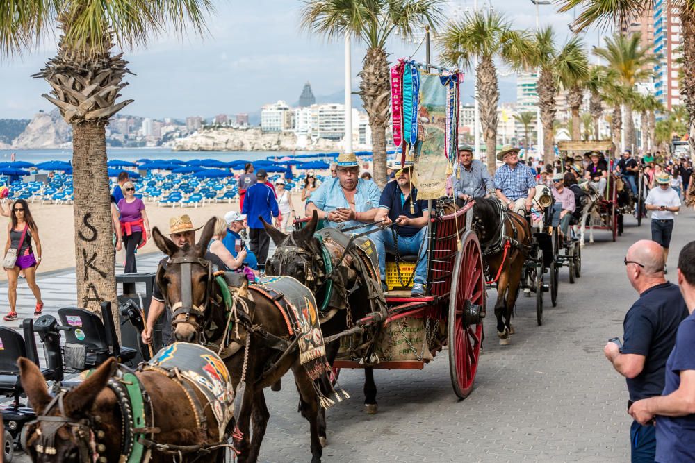 San Isidro 2018 en Benidorm