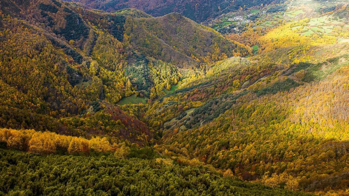 Devesa da Rogueira, Sierra de O Courel, Lugo, Galicia