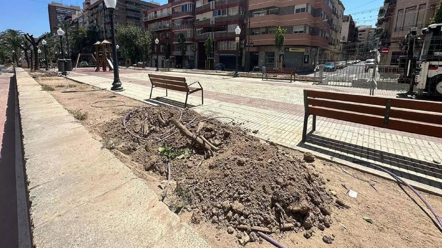 Alicante no es ciudad para nuevos árboles, en verano