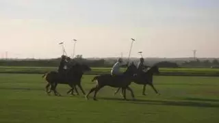 Un campo de polo de Llucmajor pagó 106.000 euros de multa al Govern tras admitir un uso no autorizado de agua subterránea