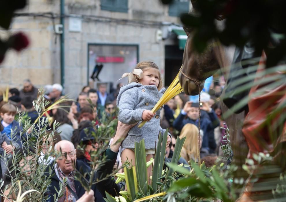 Semana Santa en Pontevedra 2016 | La Burrita recupera el recorrido entre la iglesias de San José y la escalinata de San Francisco