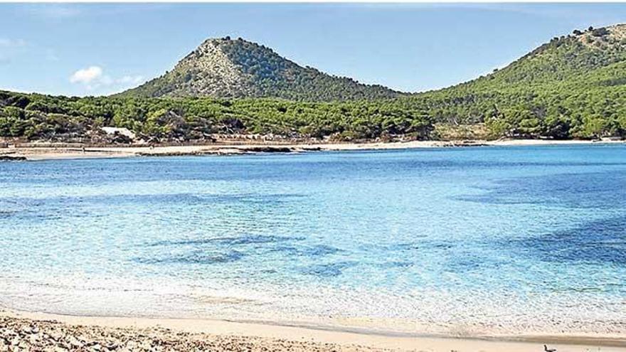 Idyllischer Strand - jetzt für 4,50 Euro am Tag: Cala Agulla.