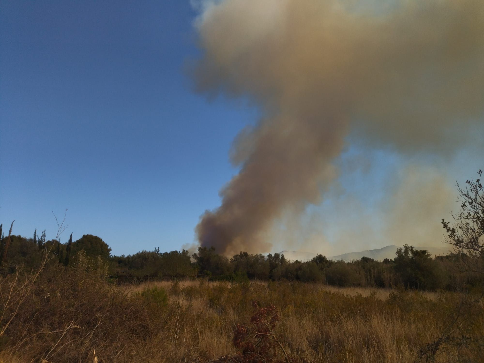 Declarado un incendio en el barranco de la Hiedra en Xàbia, cerca del Montgó