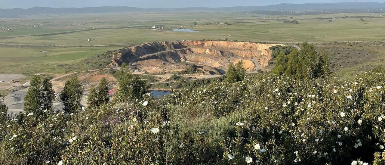 Zonas protegidas de Extremadura: La Junta quiere rebajar en  hectáreas  el espacio protegido de Red Natura