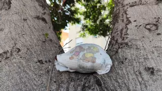 El árbol no necesita pañales