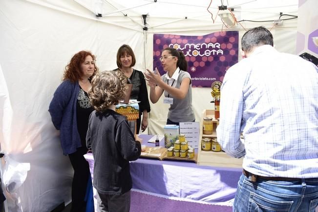 Ultimo dia de la Feria Enorte, Feria Empresarial ...