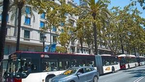 Cua d’autobusos de diferents línies que comparteixen recorregut per la Diagonal, dilluns al matí.