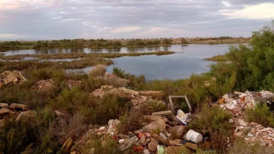 Ecologistas denuncian una agresión medioambiental a El Hondo