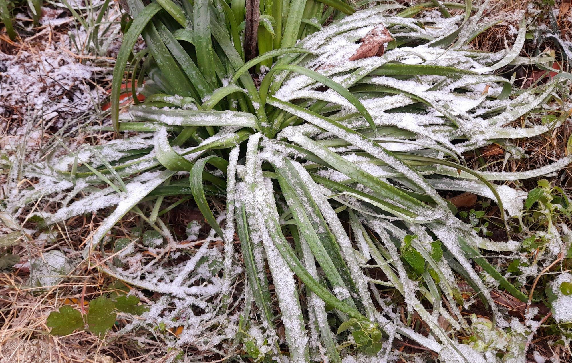 Las temperaturas mínimas se mantienen y la nieve llega a las comarcas de interior