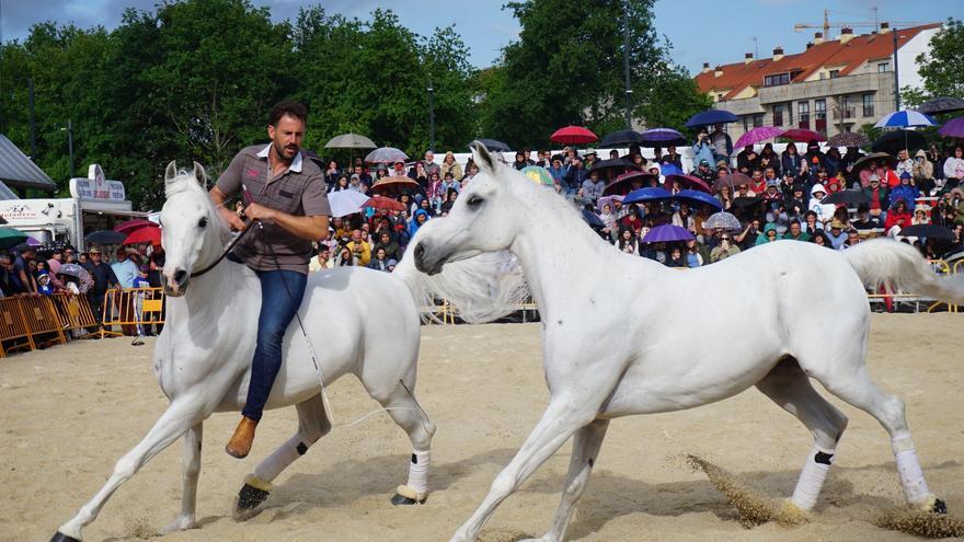 Lalín se entrega a la Feira do Cabalo: música, espectáculo y mucho ambiente