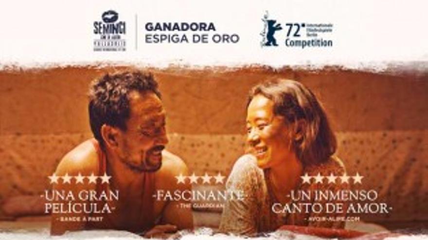 El regreso de las golondrinas