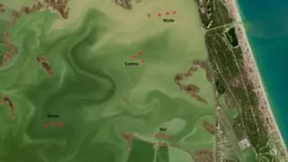 L'Albufera acumula en el fondo seis centímetros más de sedimentos tras la dana