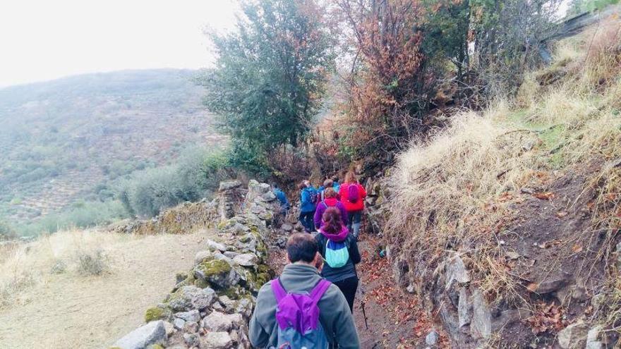 El grupo excursionista de Campo Arañuelo busca a la mujer desaparecida en Bohonal