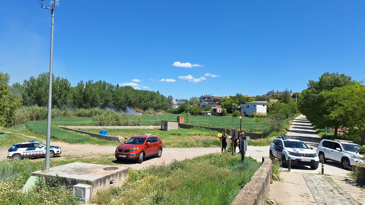 Efectius dels Mossos i al darrere la zona de canyes on s'ha produït l'incendi a Navarcles