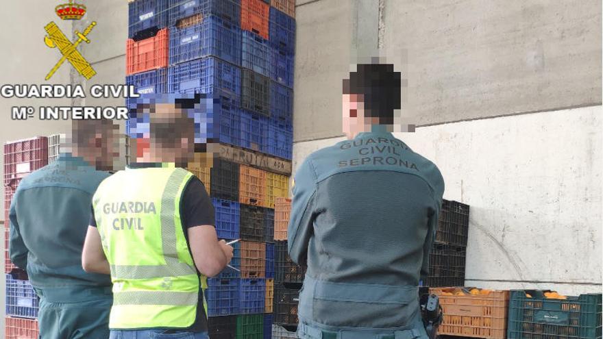 La Guardia Civil detiene a 5 persona e investiga a otras 39 por la sustracción de más de 285.000 kilos de naranjas