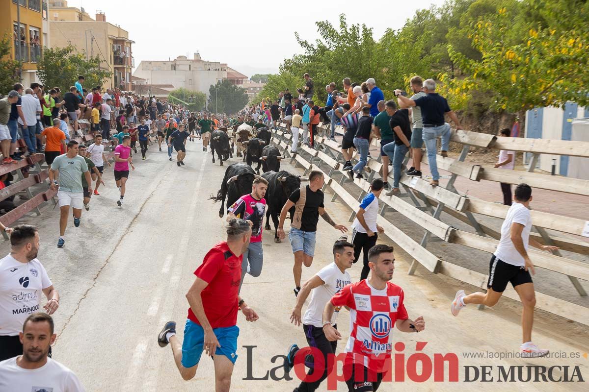 Primer encierro de la Feria Taurina del Arroz en Calasparra